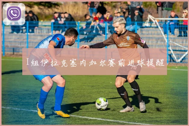 I组伊拉克塞内加尔赛前进球提醒