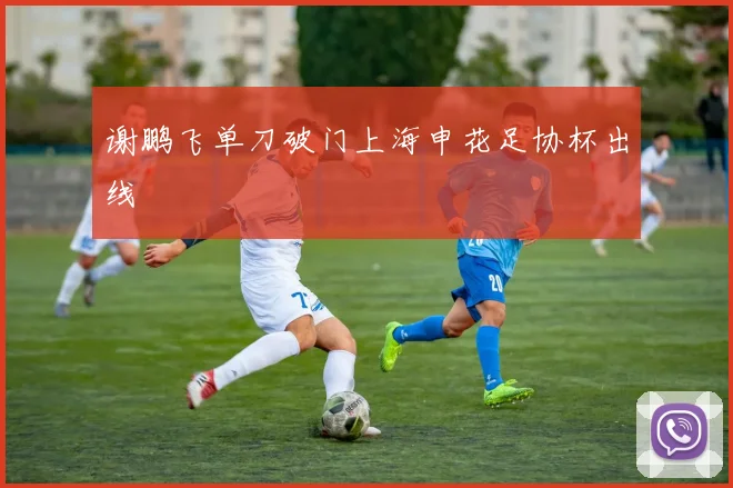 谢鹏飞单刀破门上海申花足协杯出线