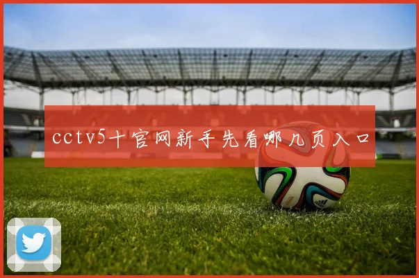 cctv5十官网新手先看哪几页入口