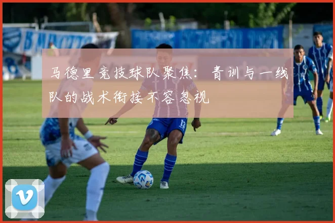 马德里竞技球队聚焦:青训与一线队的战术衔接不容忽视
