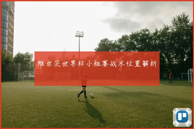 维尔茨世界杯小组赛战术位置解析