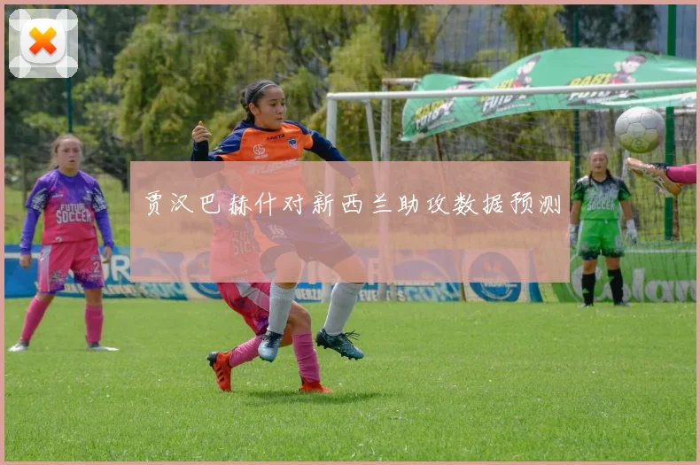 贾汉巴赫什对新西兰助攻数据预测