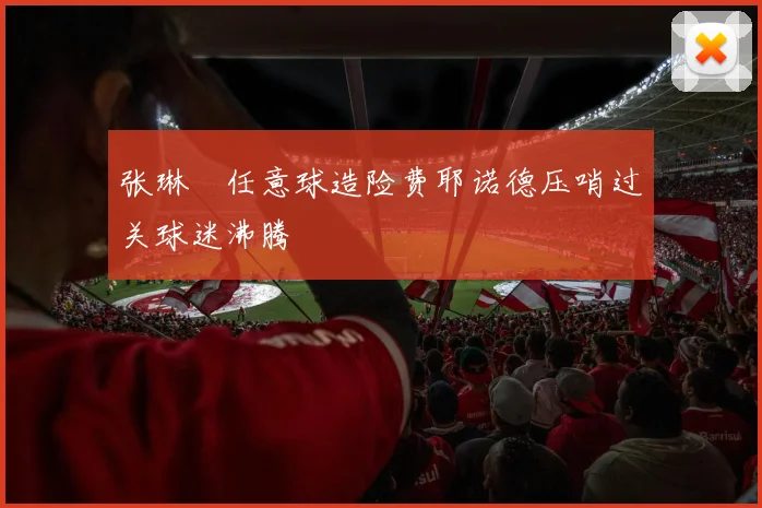 张琳芃任意球造险费耶诺德压哨过关球迷沸腾