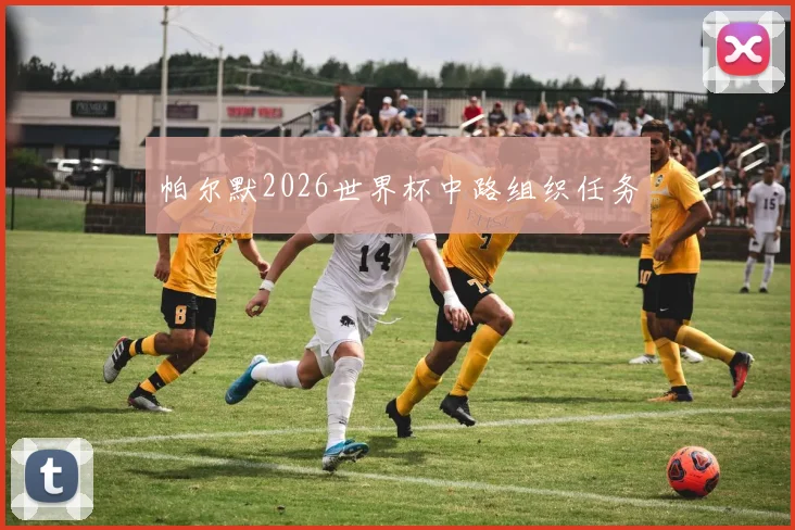 帕尔默2026世界杯中路组织任务