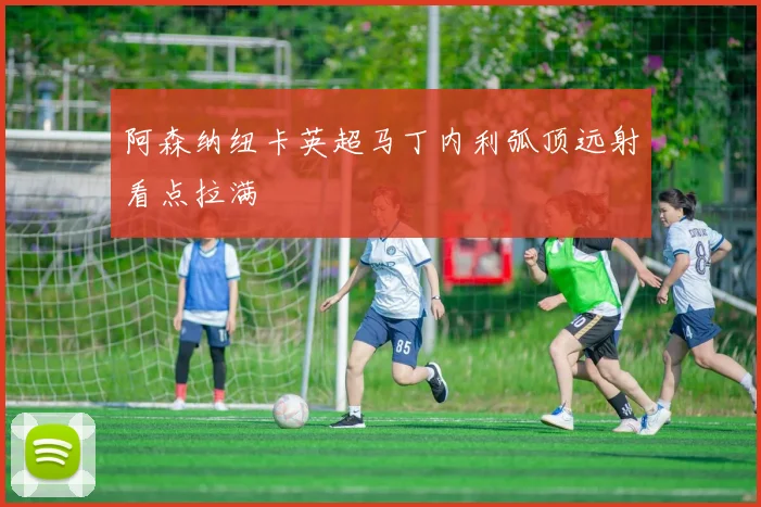 阿森纳纽卡英超马丁内利弧顶远射看点拉满