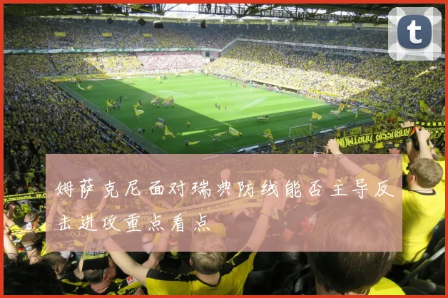 姆萨克尼面对瑞典防线能否主导反击进攻重点看点
