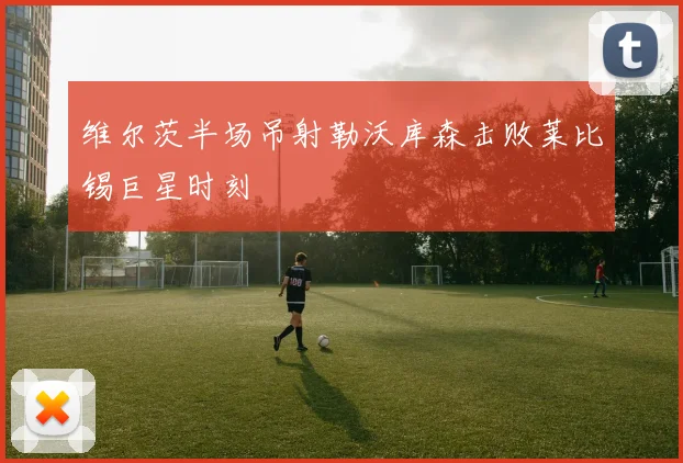 维尔茨半场吊射勒沃库森击败莱比锡巨星时刻